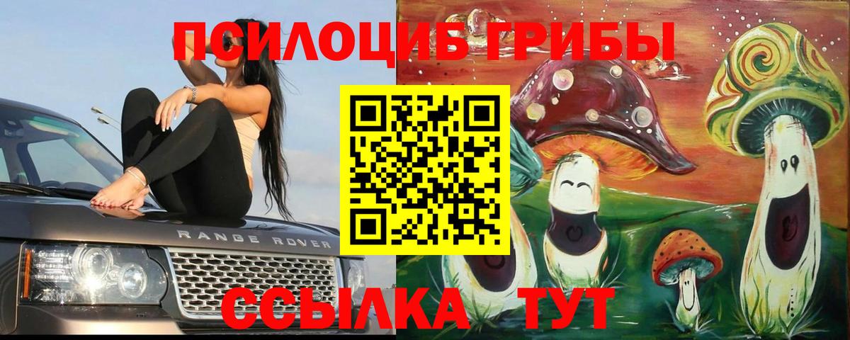 Верхняя Салда  Галлюциногенные грибы Psilocybe  Псилоцибиновые грибы Psilocybe  Вход с VPN 